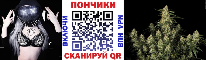 мега ТОР  Шахунья  Бошки марихуана LSD WEED 